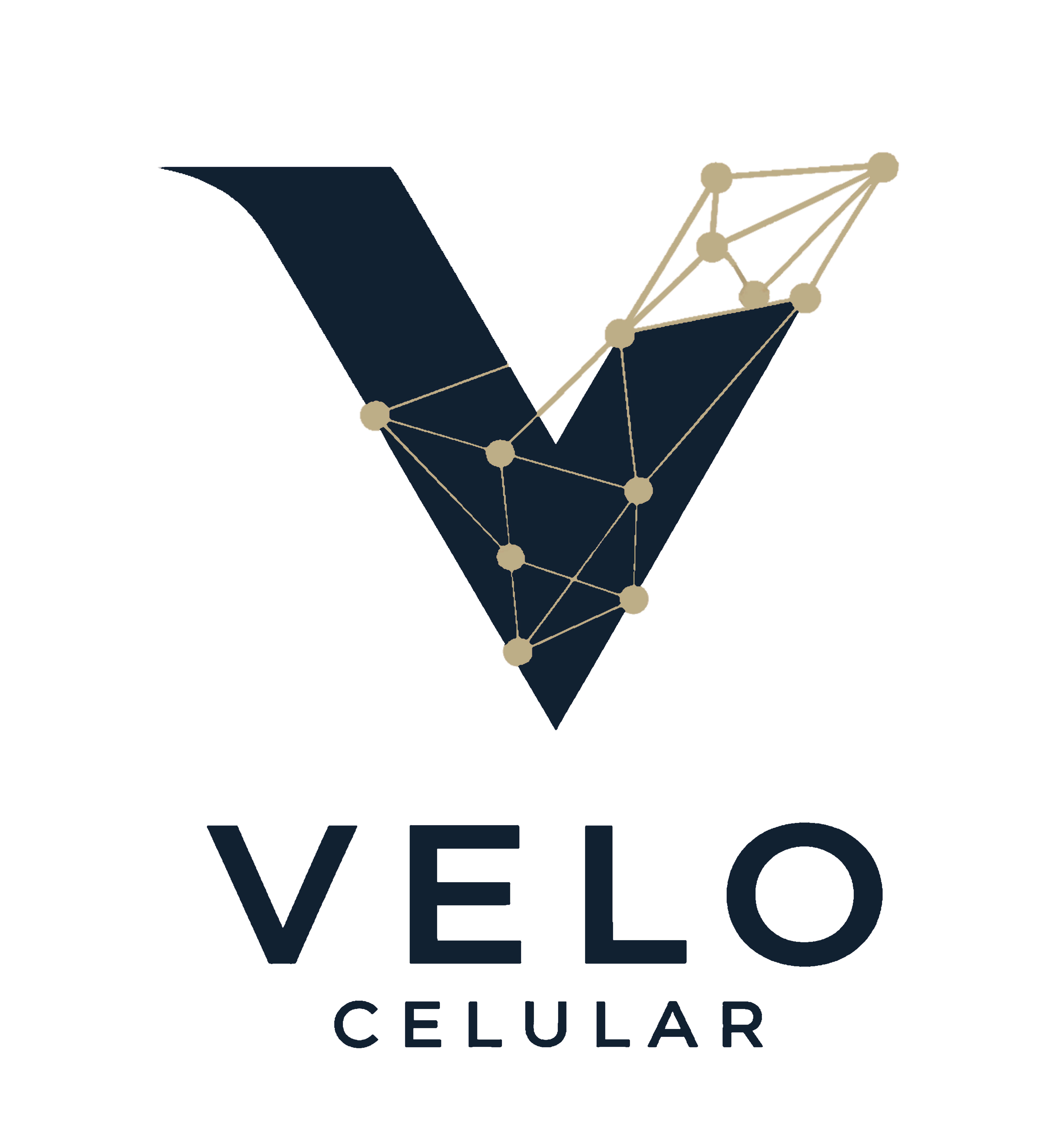 logotipo pronto 2png.png